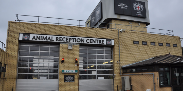 Heathrow Animal Reception Centre secures third consecutive IATA CEIV Live Animals re-certification