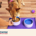 Petsense selects Instacart as its exclusive same-day delivery partner