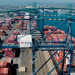 Port of Los Angeles Sets New Summer Volume Record