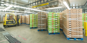 MiKargo247 and Verified Carrier link cargo insurance to carrier verification