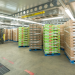 MiKargo247 and Verified Carrier link cargo insurance to carrier verification