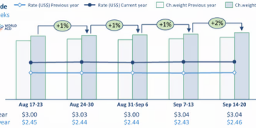 Rebound in worldwide air cargo tonnages ahead of Chinese holiday period