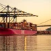 CBP to revoke import privileges over inaccurate customs information