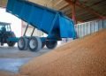 One Complaint Uncovered an $800K Texas Grain Theft Operation Across 176 Loads