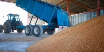 One Complaint Uncovered an $800K Texas Grain Theft Operation Across 176 Loads
