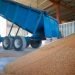 One Complaint Uncovered an $800K Texas Grain Theft Operation Across 176 Loads