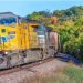 Union Pacific pushes back against rival railroads’ trackage rights demands