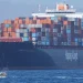 Smart Tariff Strategy Starts With the Basics, Lawyer Advises CFOs