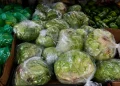 Feces in the Food Supply: What Comes Next After a Summer of Cyclospora