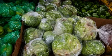Feces in the Food Supply: What Comes Next After a Summer of Cyclospora