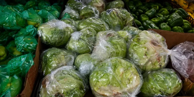 Feces in the Food Supply: What Comes Next After a Summer of Cyclospora