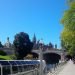 CanopyFit maps out where cities should plant trees to combat urban heat