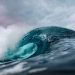Carney unveils $1.2 billion ocean protection package as pipeline decision nears