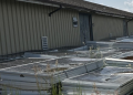 Alberta Bans Solar Panels from Landfills, Launches First Recycling Program