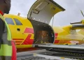 DHL supports Gorilla relocation from Nigeria to Congo