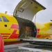 DHL supports Gorilla relocation from Nigeria to Congo