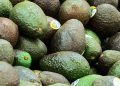 Mexican Avocado Imports Drive $641.5 Million in U.S. Trucking and Warehousing Activity