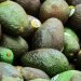 Mexican Avocado Imports Drive $641.5 Million in U.S. Trucking and Warehousing Activity