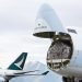 Cathay Cargo records 14.2% growth in September freight volumes