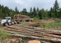 U.S. Import Duties on Canadian Softwood Lumber Fall to Nearly 35%