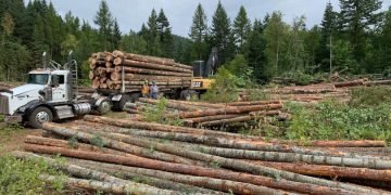 U.S. Import Duties on Canadian Softwood Lumber Fall to Nearly 35%