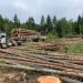 U.S. Import Duties on Canadian Softwood Lumber Fall to Nearly 35%
