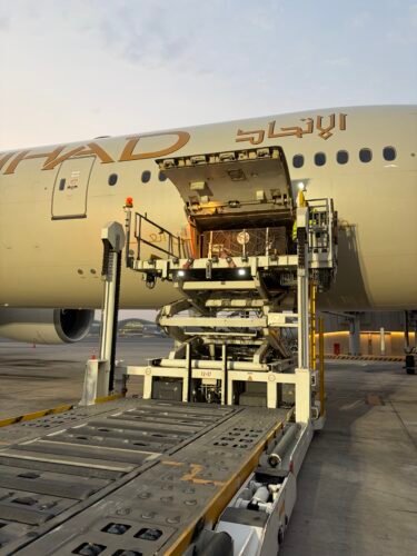 Bu and Tyapa, two rescued brown bears, being unloaded in Abu Dhabi during their journey from Russia to Ireland