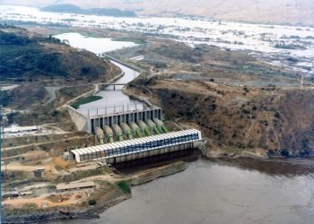 Green ammonia could undercut VLSFO by 2035 as IMO climate rules boost renewables