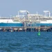 High-capacity FSRU design receives Approval in Principle from LR