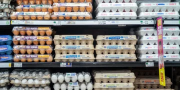 Cal-Maine points to egg supply, demand rebalance