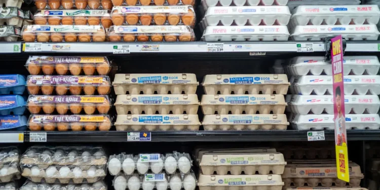 Cal-Maine points to egg supply, demand rebalance