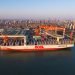 OOCL posts 45.1% quarterly revenue jump as trans-Pacific trade accelerates
