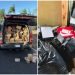 Nine Suspected Sinaloa Cartel Associates Arrested in California Rail Cargo Theft Investigation