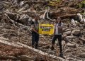 Greenpeace challenges Ikea over wood sourcing and threats to Europe’s forests