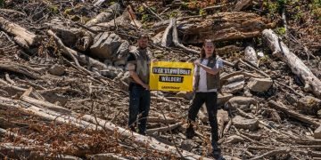 Greenpeace challenges Ikea over wood sourcing and threats to Europe’s forests