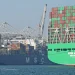 European Freight Rates Keep Falling as Asia–Europe Demand Loses Momentum