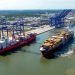Savannah’s Ocean Terminal redevelopment surpasses 60% completion