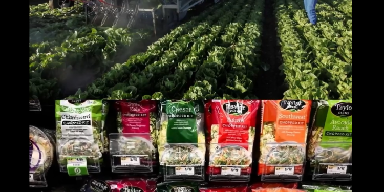 Taylor Farms suspends seasonal lettuce sourcing in central Mexico after Cyclospora outbreak