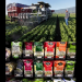 Taylor Farms suspends seasonal lettuce sourcing in central Mexico after Cyclospora outbreak