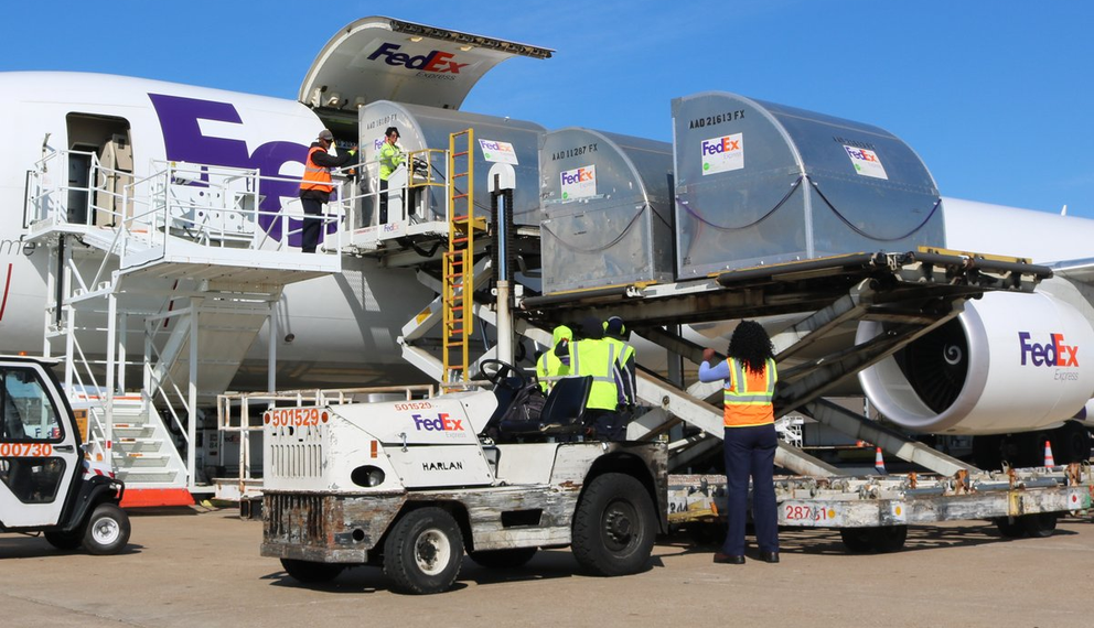 fedex cargo
