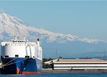 Ocean rates highest in a year amid US-China trade truce