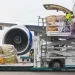 Rotate expands into cargo compliance with new air freight screening platform