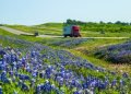 SH 130 Builds a Smarter, Safer Freight Route Through Central Texas