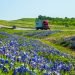 SH 130 Builds a Smarter, Safer Freight Route Through Central Texas