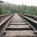 U.S. Rail Freight Climbs 8.5% as Steel and Intermodal Traffic Strengthen